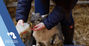 Gillian Sheep Farmer